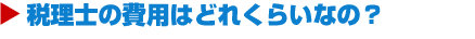 税理士の費用はどれくらいなの?